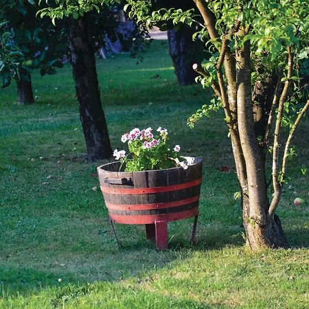 Three-bedroom In * Gradac